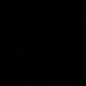 Meet your Posher, Ronald